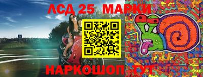 крисы Кандалакша