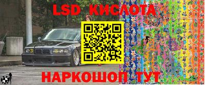 крисы Кандалакша