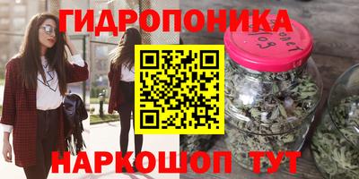 крисы Кандалакша
