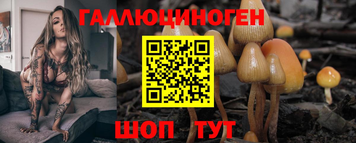 Галлюциногенные грибы MAGIC MUSHROOMS  Галлюциногенные грибы мицелий  Вход с VPN  Черногорск 